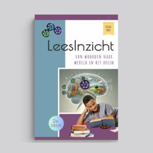 LeesInzicht - van woorden naar wereld in het brein
