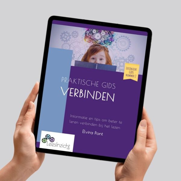LeesInzicht GIDS Verbinden