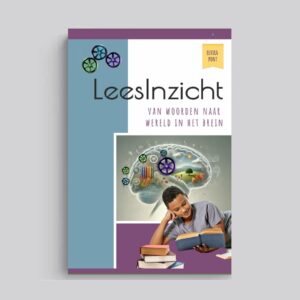 LeesInzicht - van woorden naar wereld in het brein