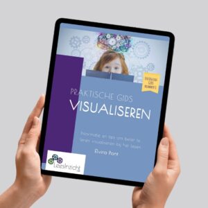LeesInzicht GIDS Visualiseren