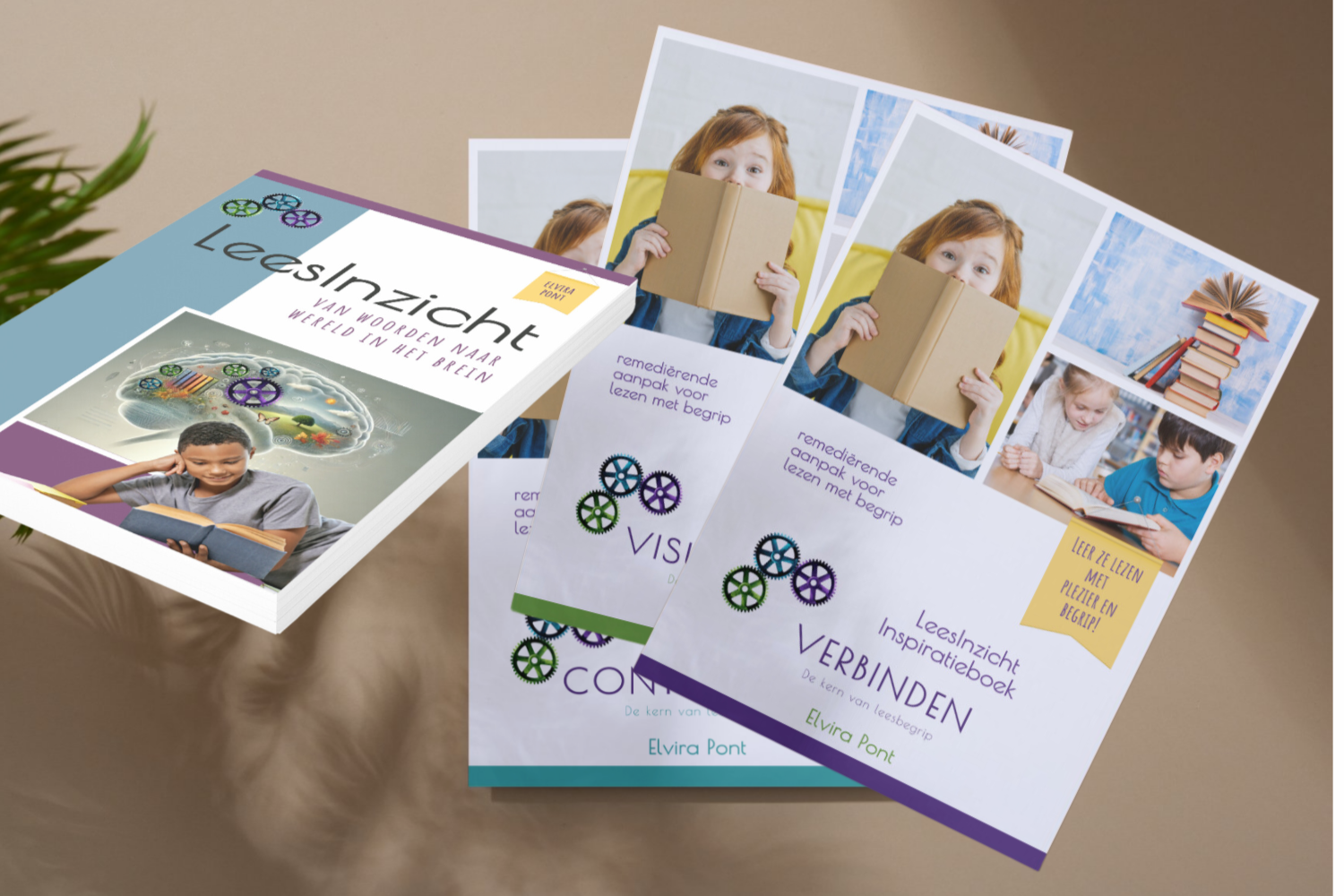 leesinzicht boek set goed
