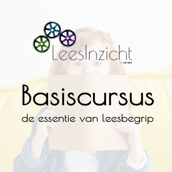 LeesInzicht basiscursus 13-6-2025