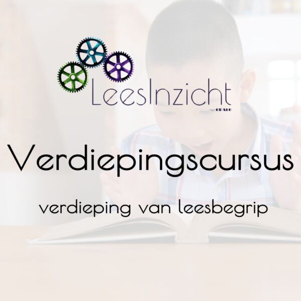 LeesInzicht verdiepingscursus 15-5-2026