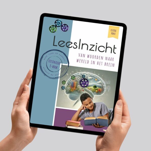 e-book LeesInzicht van woorden naar wereld in het brein