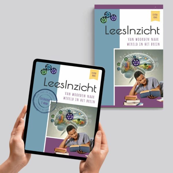 LeesInzicht - van woorden naar wereld in het brein - Afbeelding 4