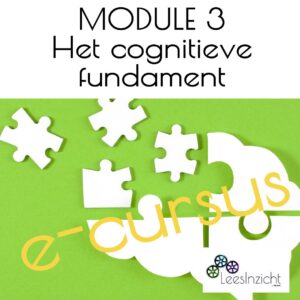 Basis e-cursus MODULE 3: De cognitieve fundamenten