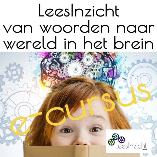 E-cursus LeesInzicht - van woorden naar wereld in het brein