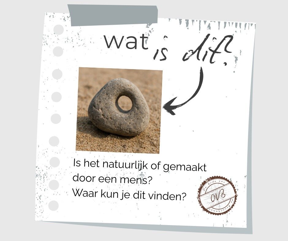 Select Dynamic field