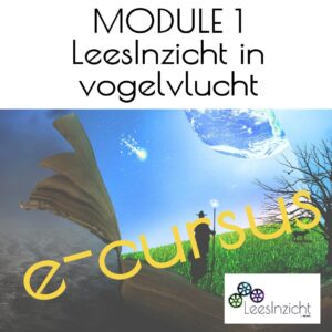 Module online basiscursus: LeesInzicht in vogelvlucht
